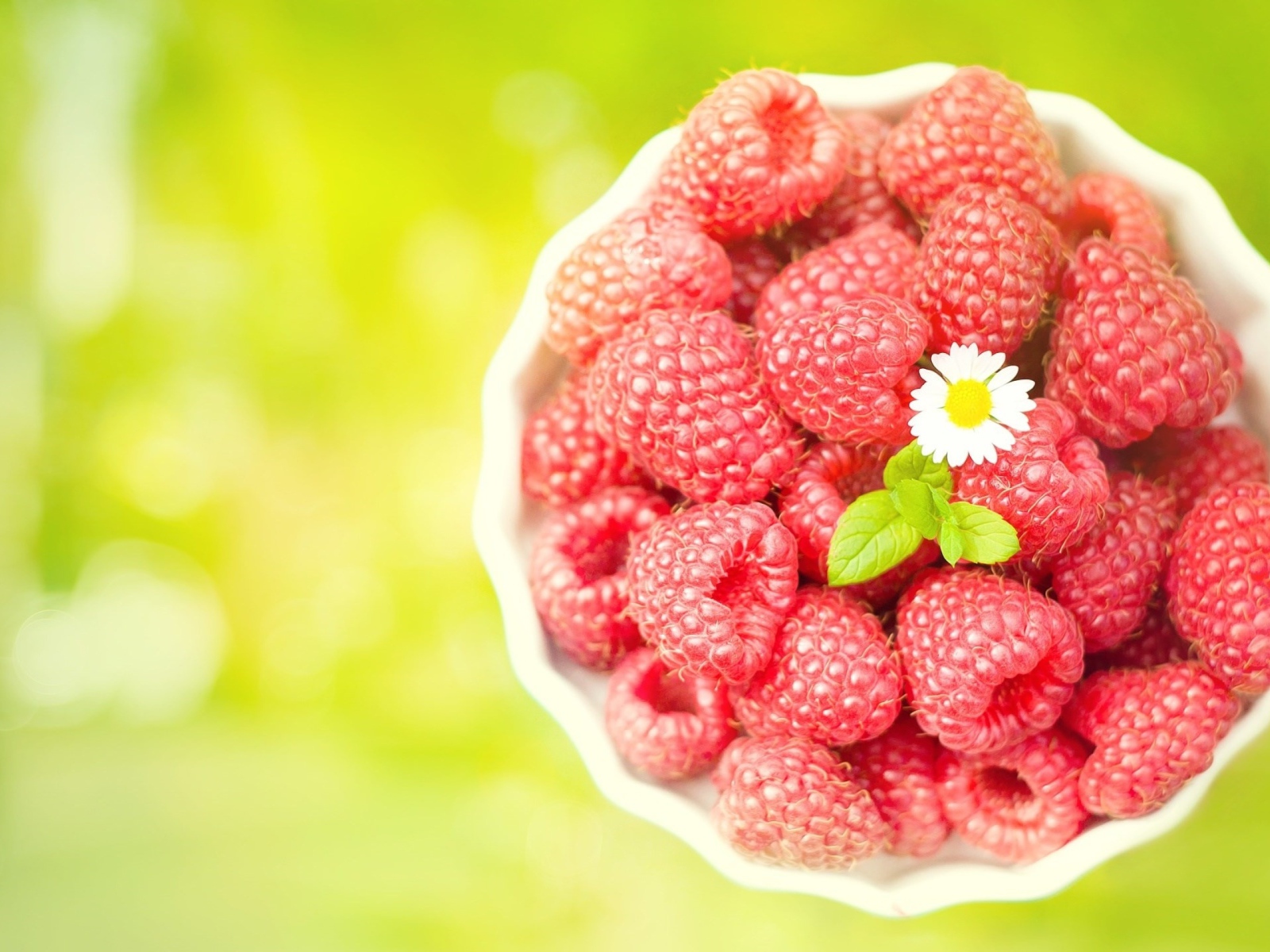 Миска спелой малины с белой ромашкой