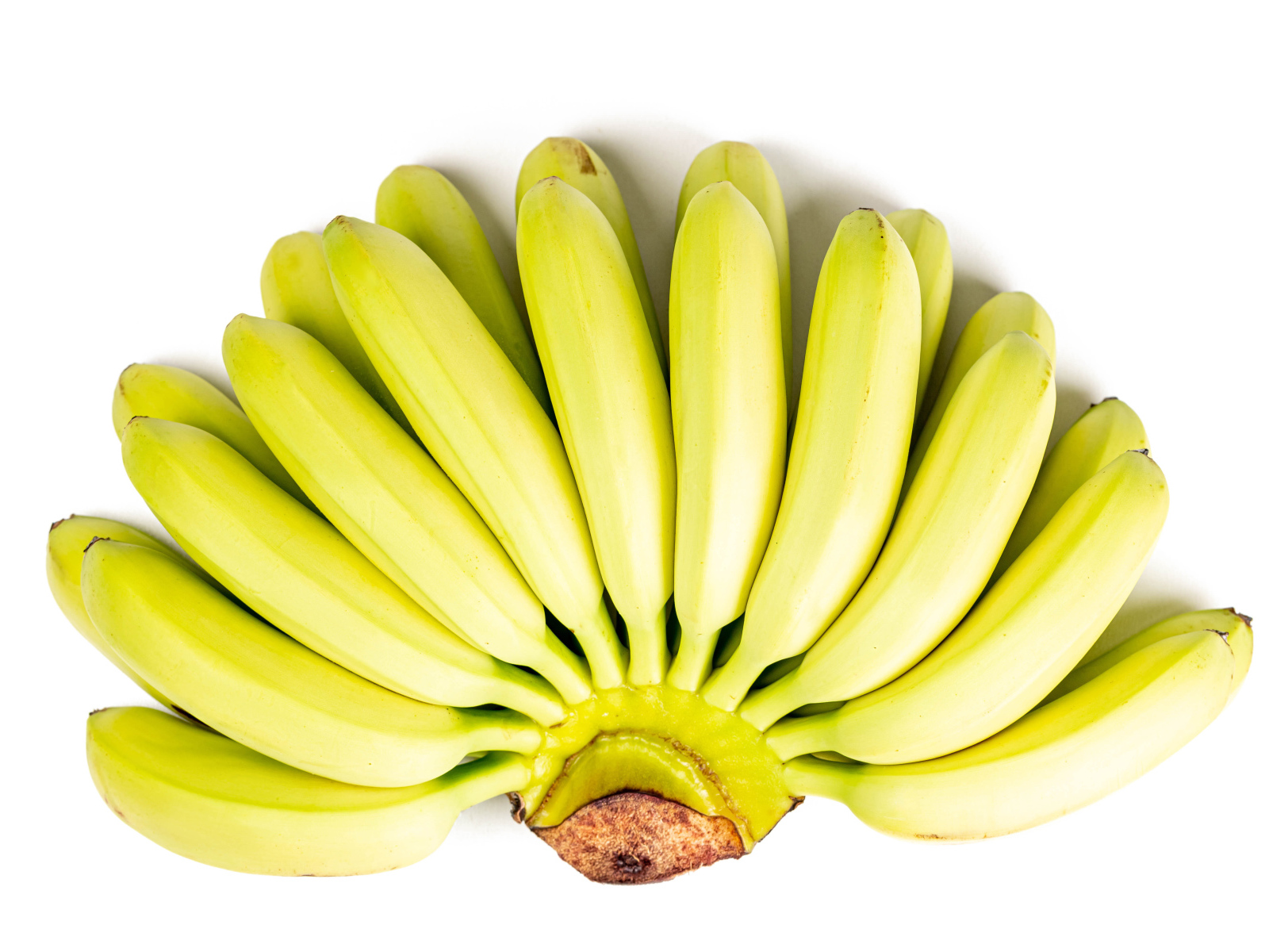 Связка спелых бананов на белом фоне