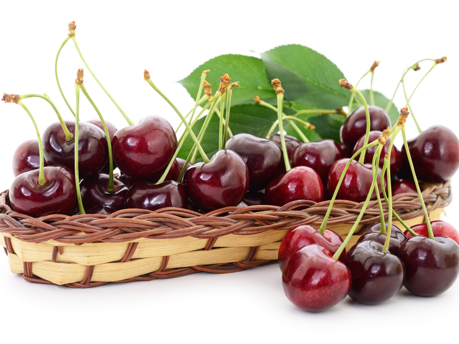 Много спелой крупной черешни в корзинке на белом фоне