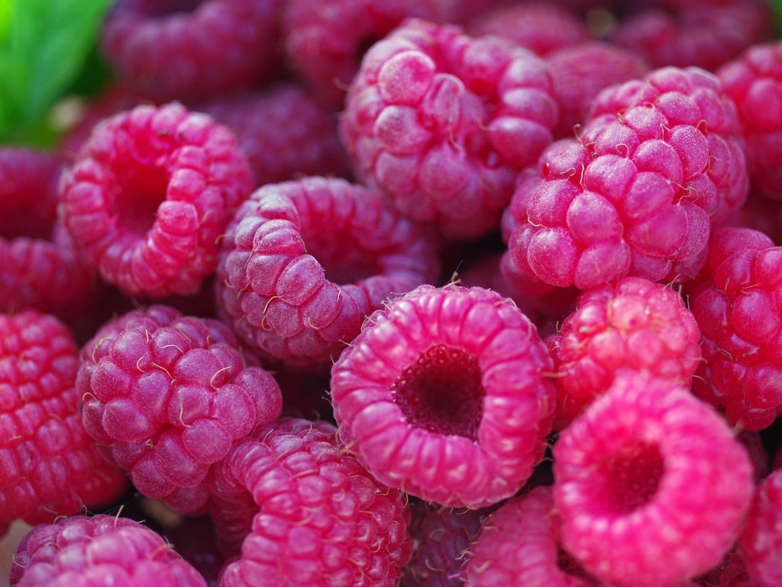 Спелые крупные ягоды малины 