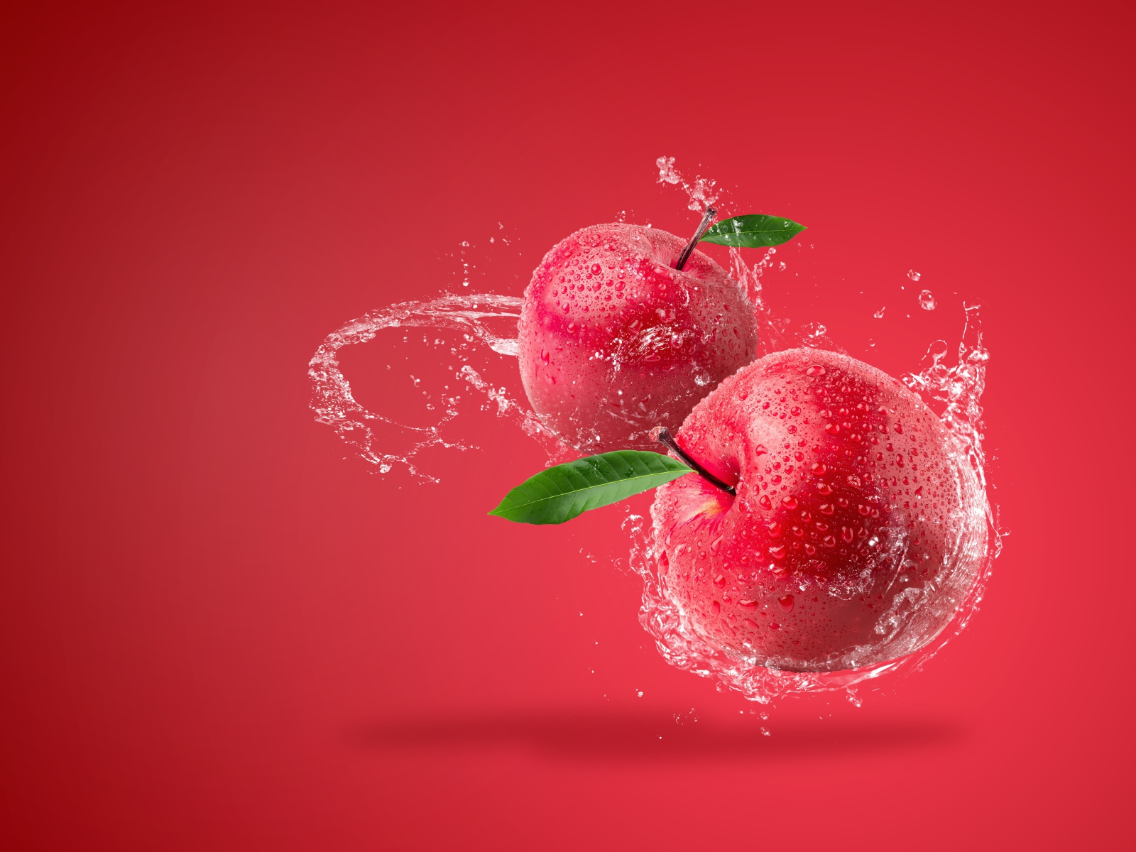 Два яблока в брызгах воды на красном фоне