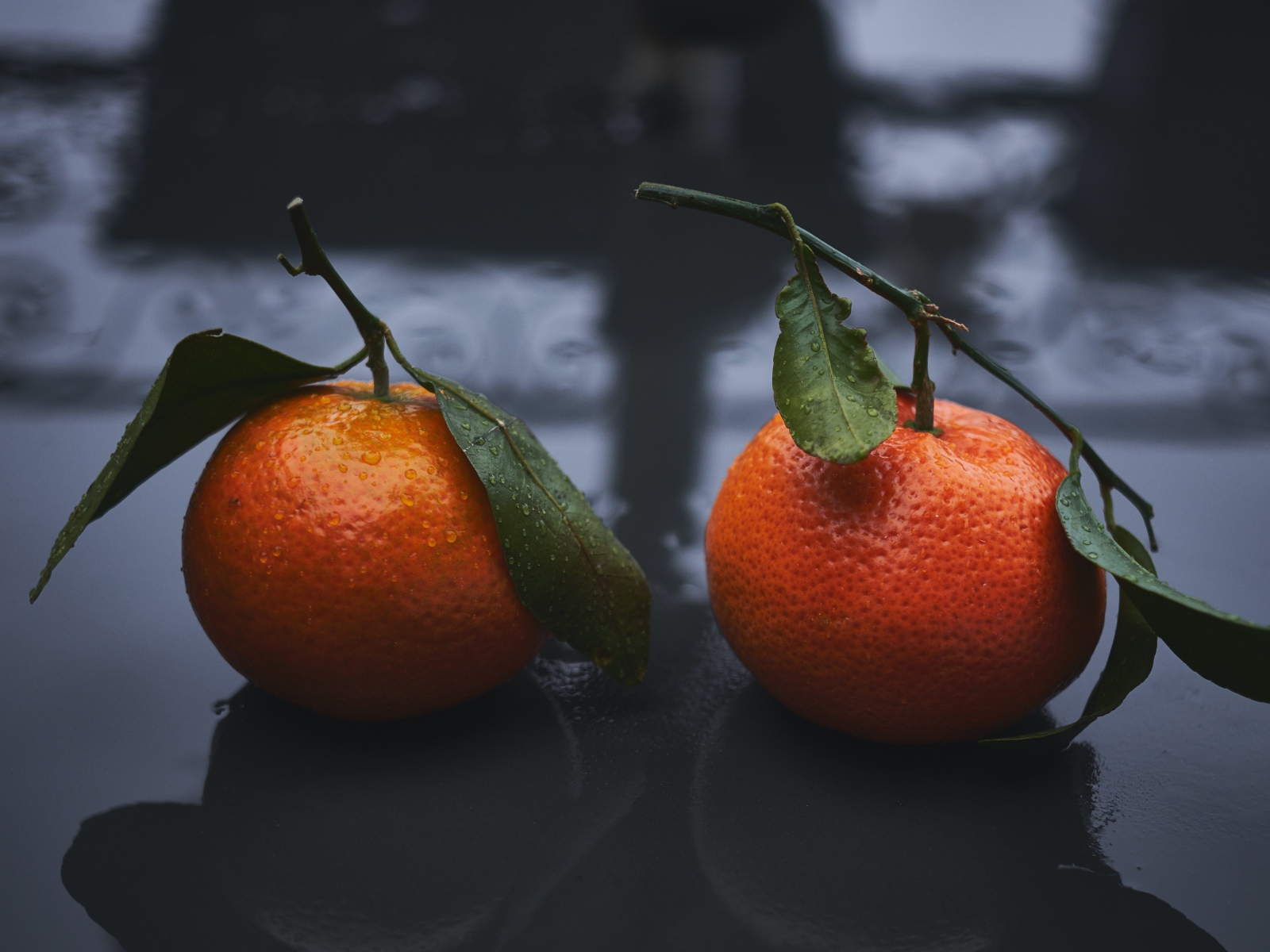 Два оранжевых мандарина лежат на мокрой поверхности 