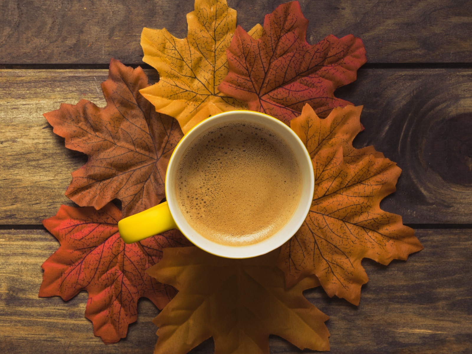 Чашка горячего кофе стоит на осенних листьях 