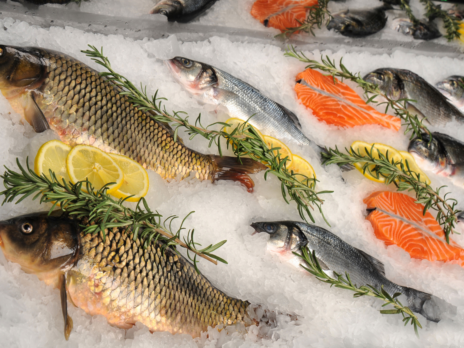 Свежая рыба в соли с лимоном и базиликом