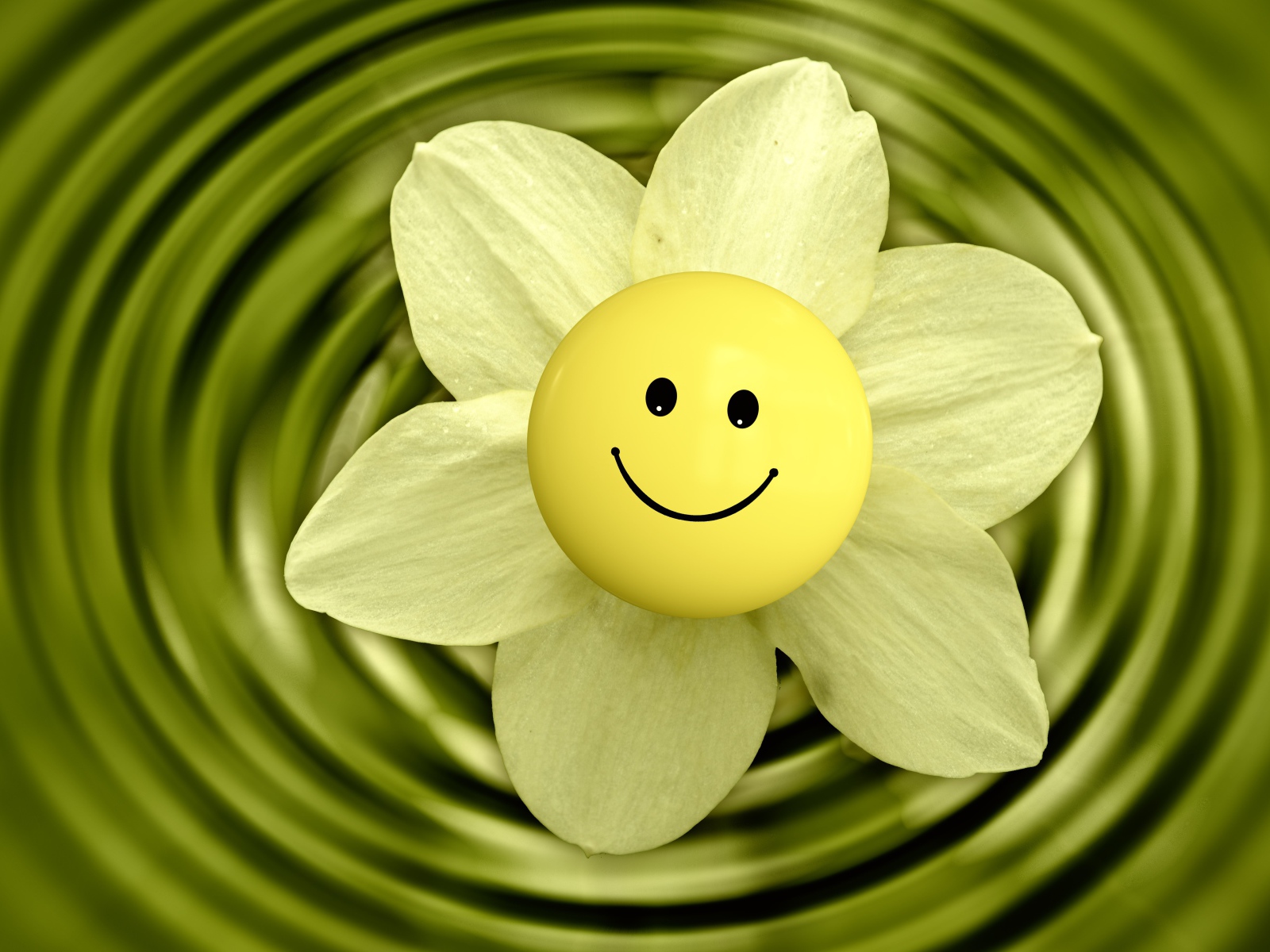 Narcissus flower with smiley face in water