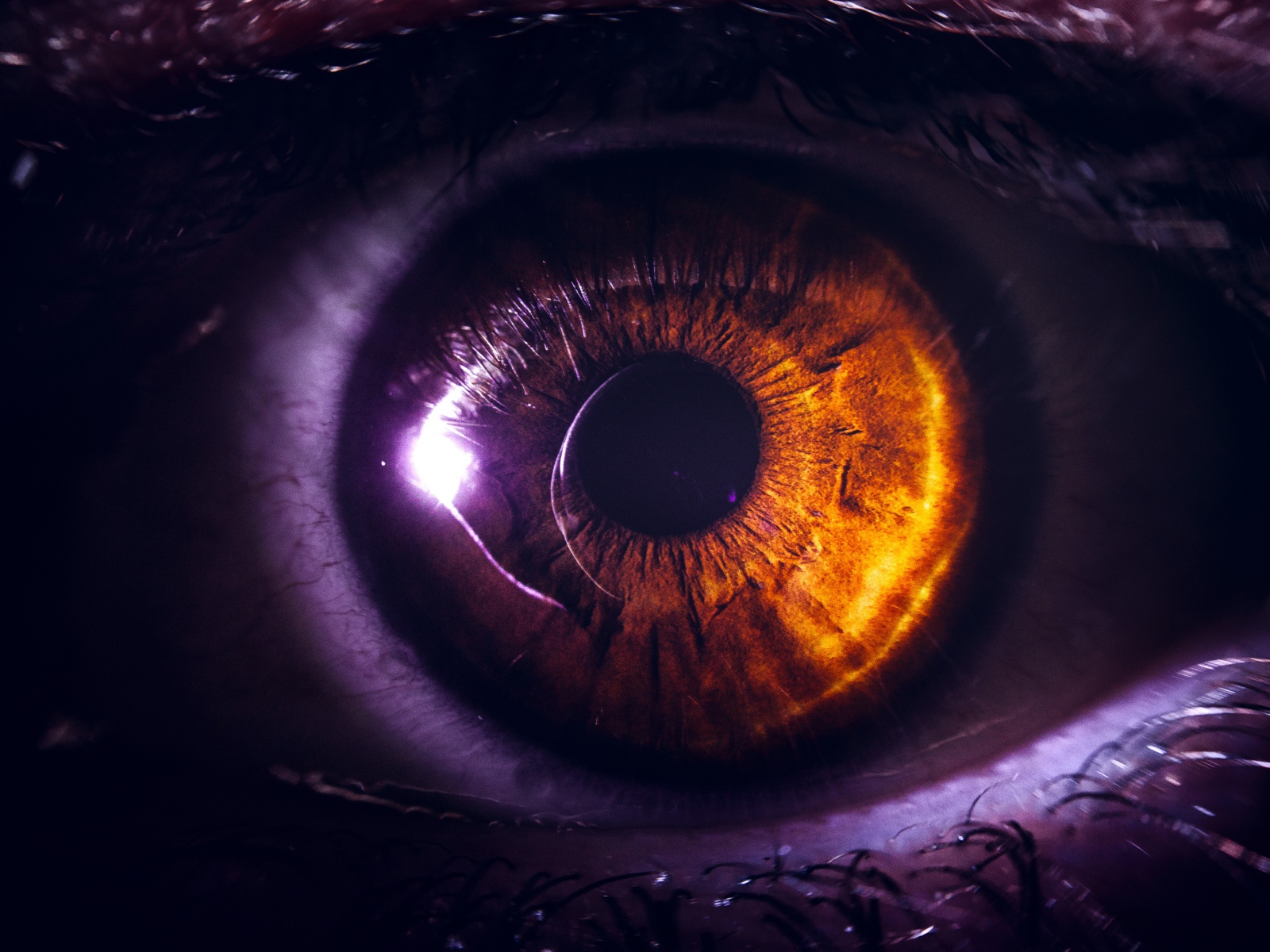 Карий глаз девушки крупным планом