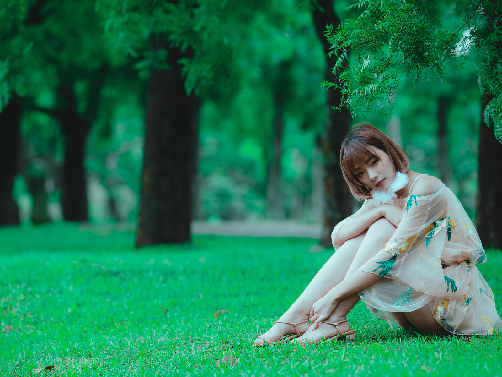 Красивая девушка азиатка сидит на зеленой траве в парке 