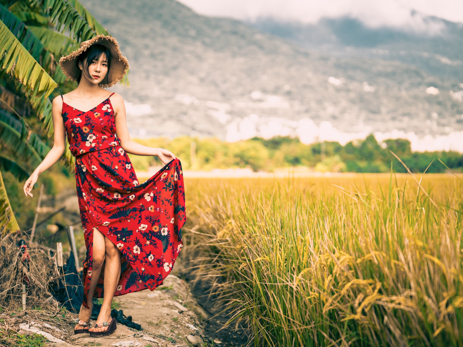 Молодая азиатка в сарафане на рисовом поле 