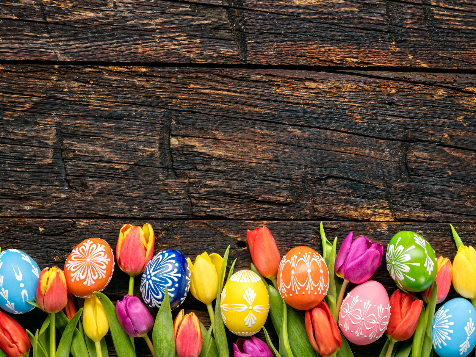 Разноцветные яйца и цветы тюльпана, шаблон для открытки на Пасху 