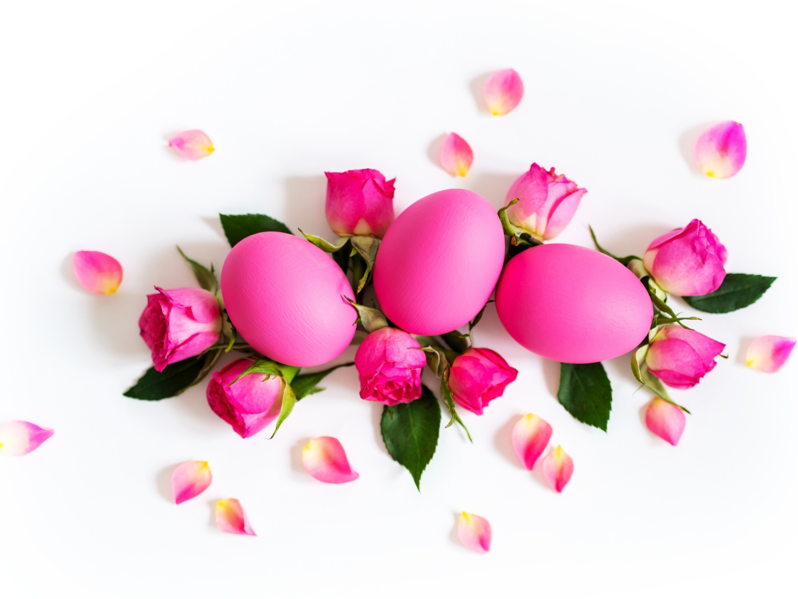 Pink colored eggs with roses on a white background for Easter