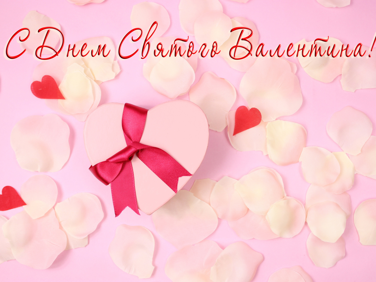 Подарок и лепестки розовой розы открытка С Днем Святого Валентина