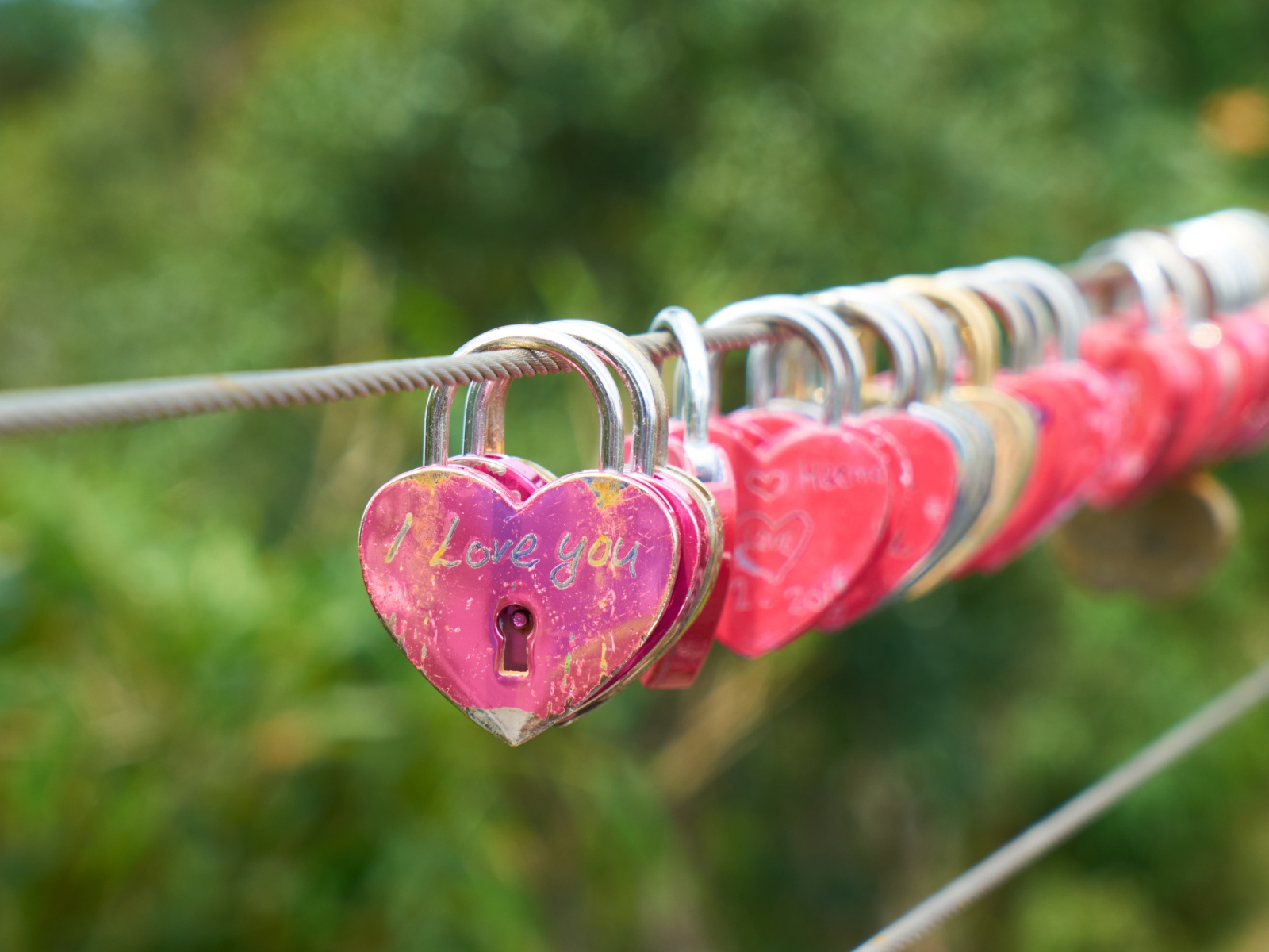Замки влюбленных на канате у моста 