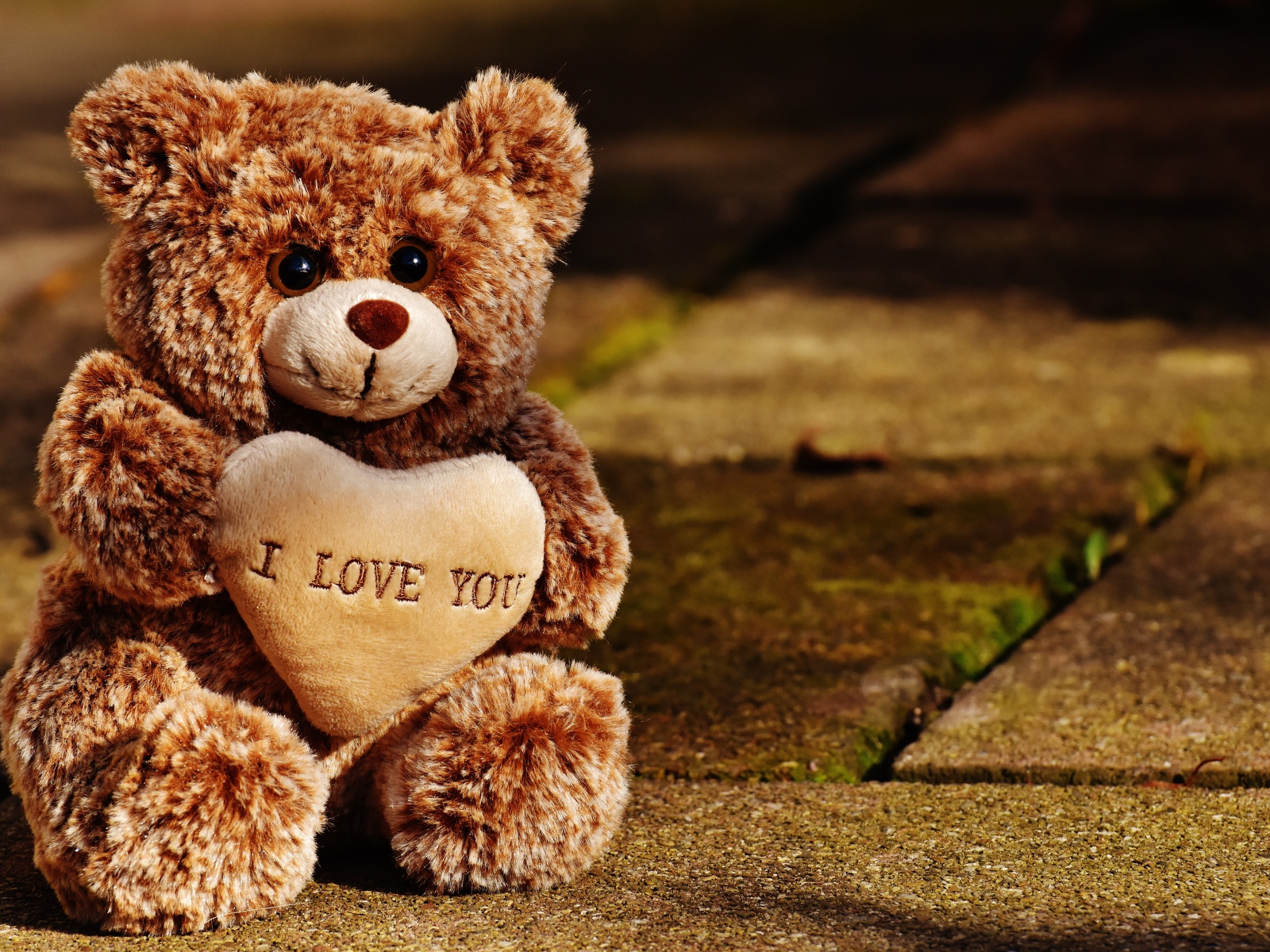 Игрушечный медведь с сердцем сидит на дороге 