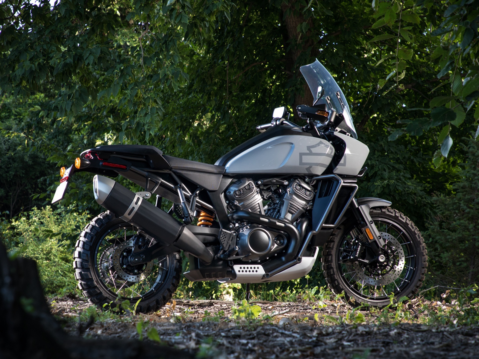 Мотоцикл Harley-Davidson в парке 