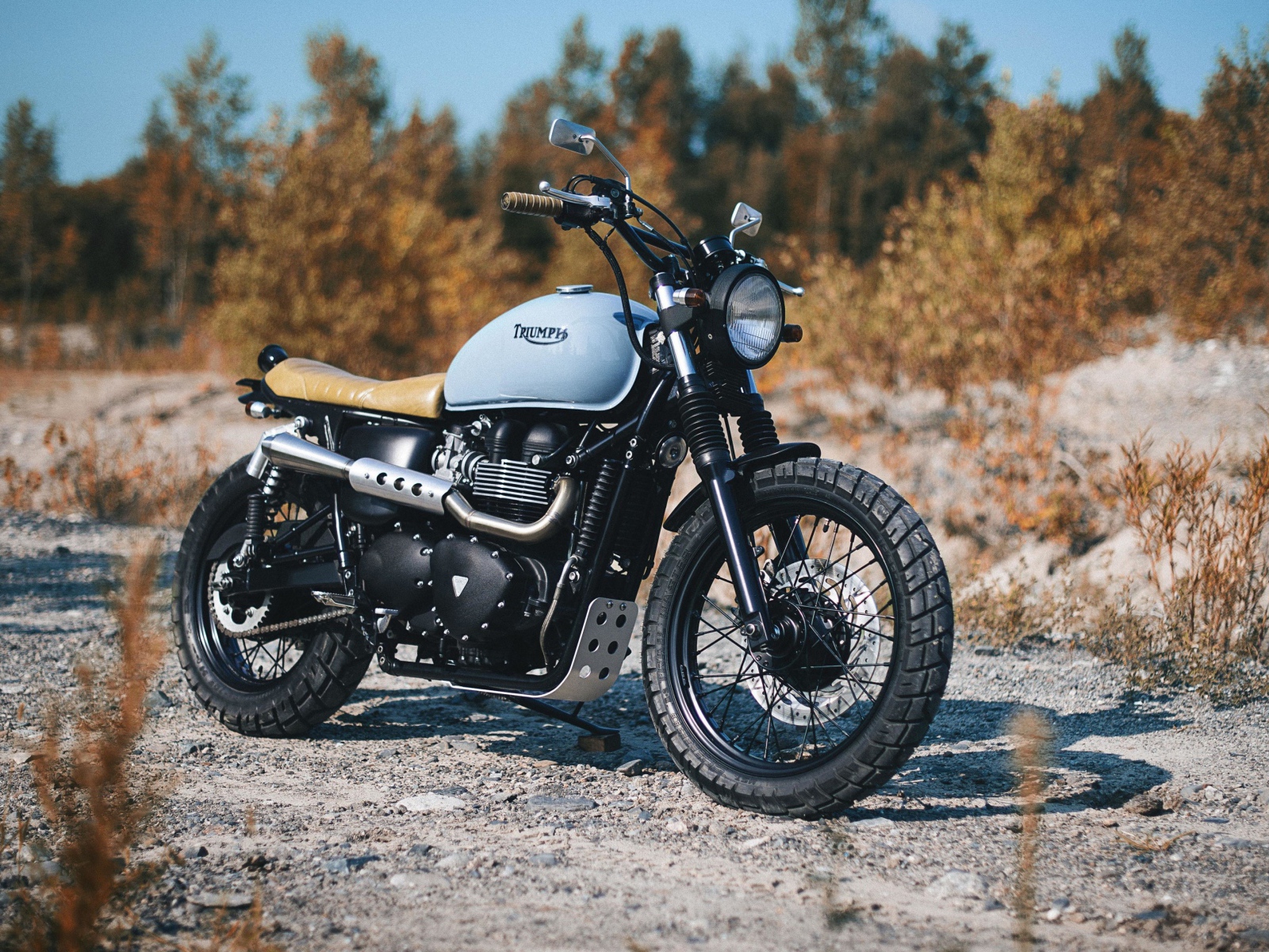 Мотоцикл Triumph Bonneville на дороге в лесу 