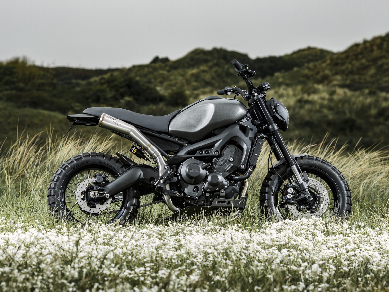 Черный мотоцикл Yamaha Tuning XSR900 в поле 