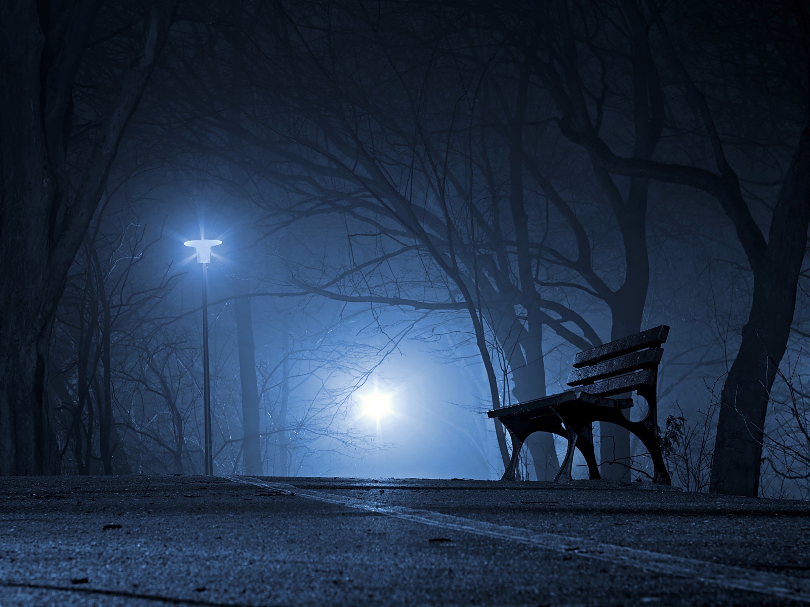 Лавочка в холодном ночном парке 