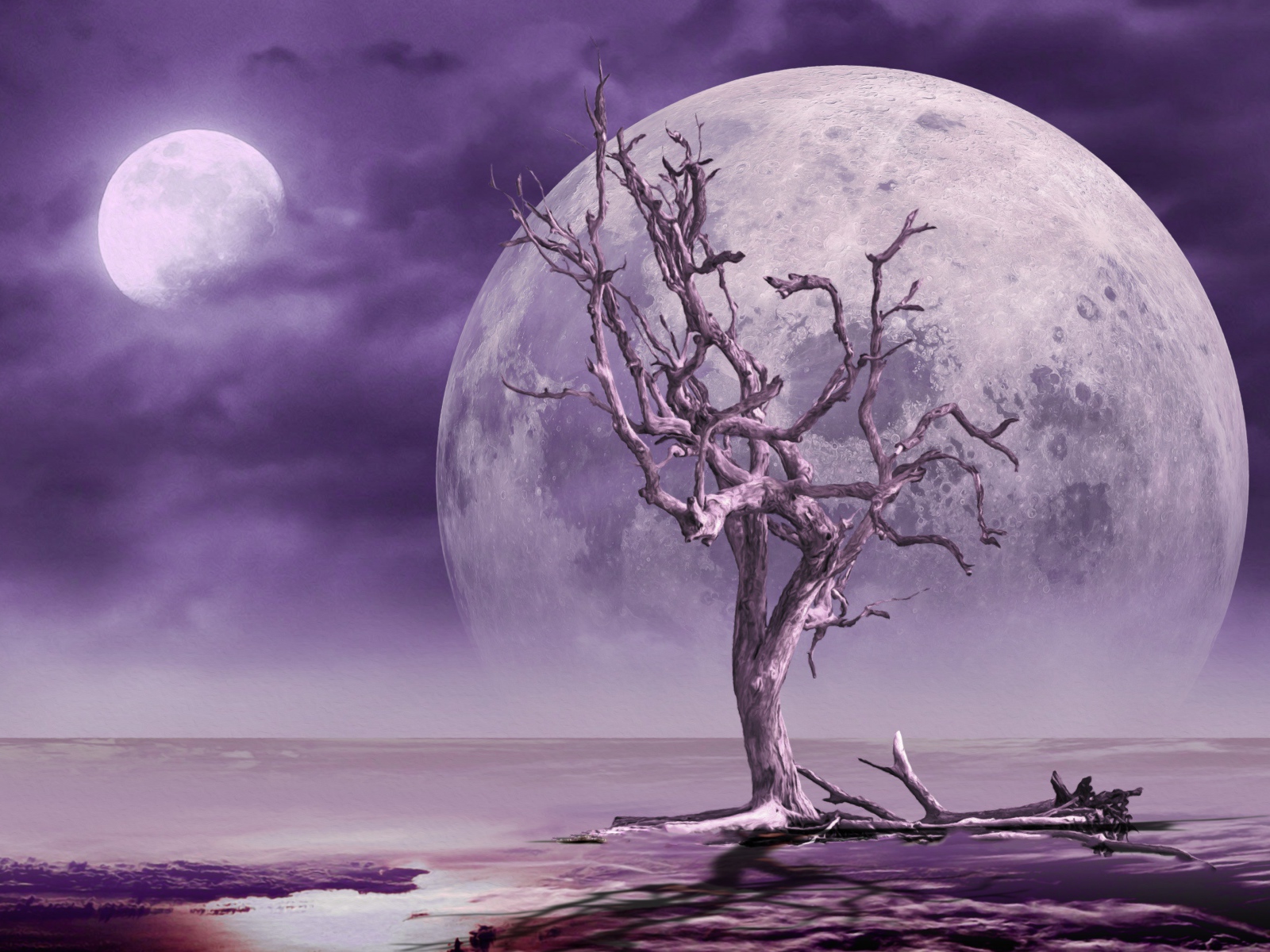 Большая луна в небе у сухого дерева