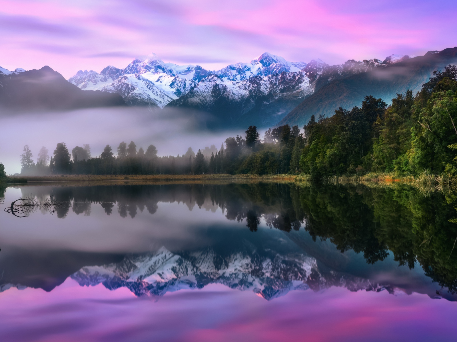 Зеленый лес у туманного озера на фоне гор