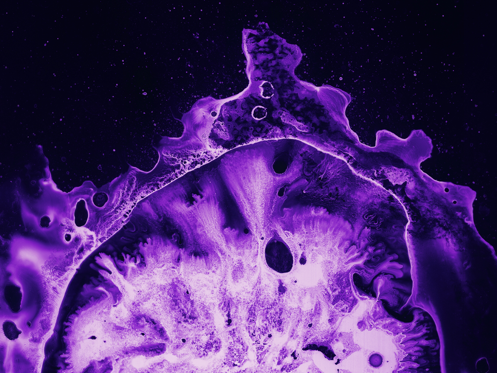 Фиолетовый коралл под микроскопом 