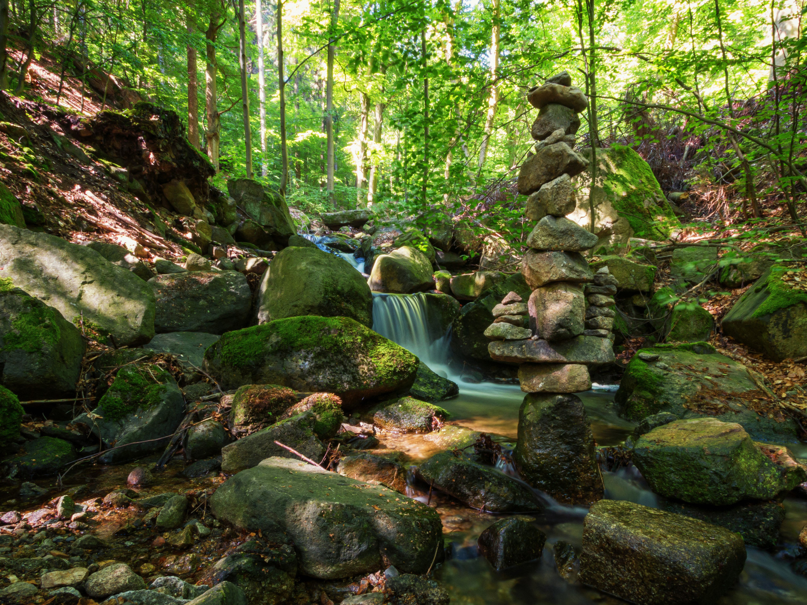 Вода стекает по покрытых мхом камням