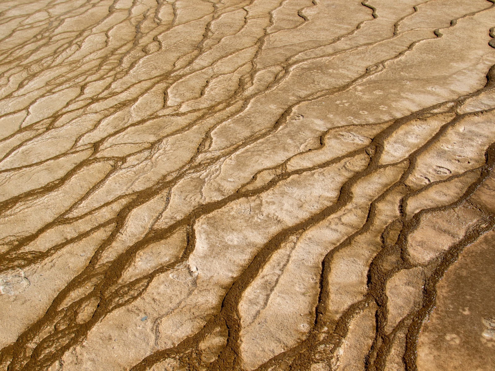 Трещины на песке крупным планом