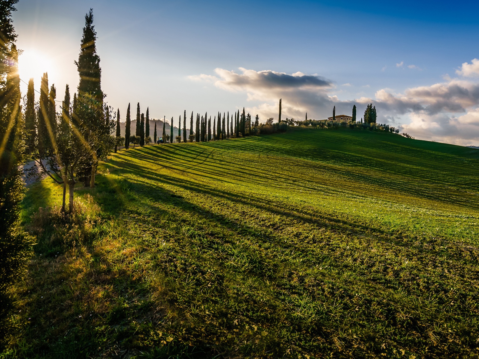 Зеленые поля в лучах солнца летом