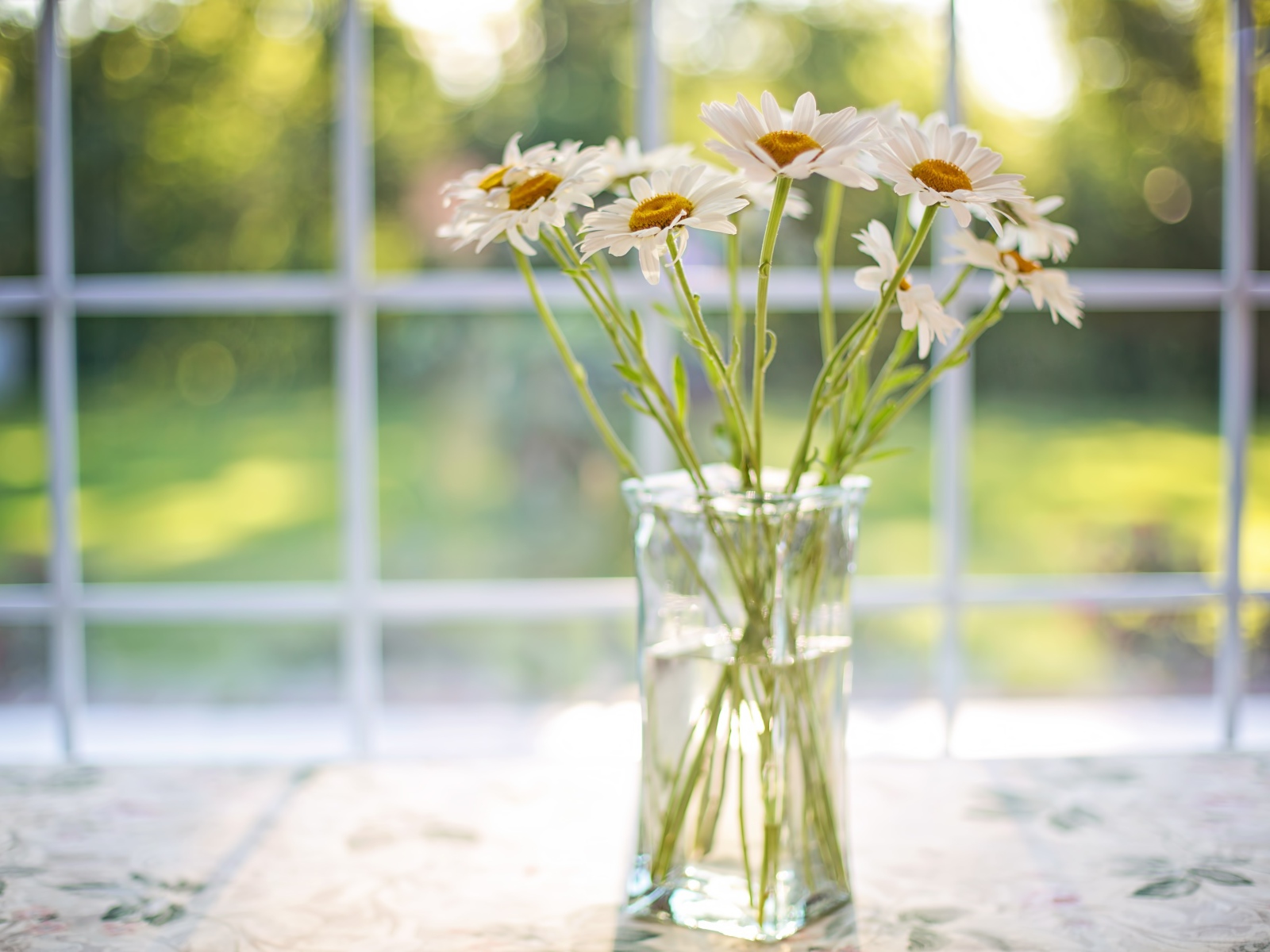 Букет ромашек в стеклянной вазе у окна 
