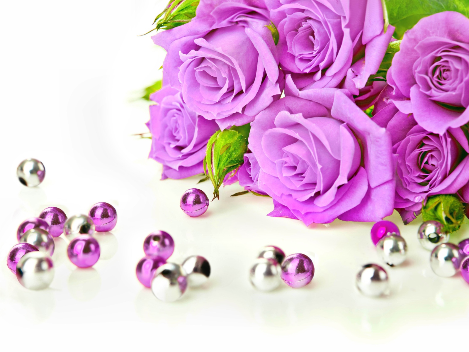 Красивые сиреневые розы на белом фоне с бусинами