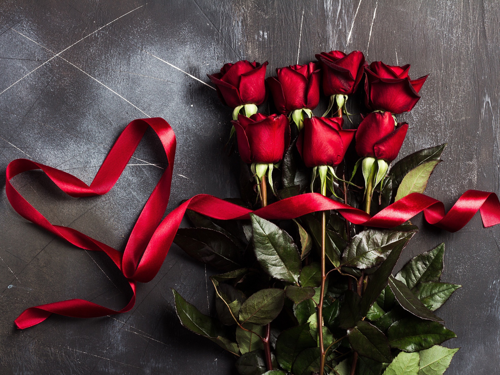 Букет красивых английских роз с красной лентой на сером фоне