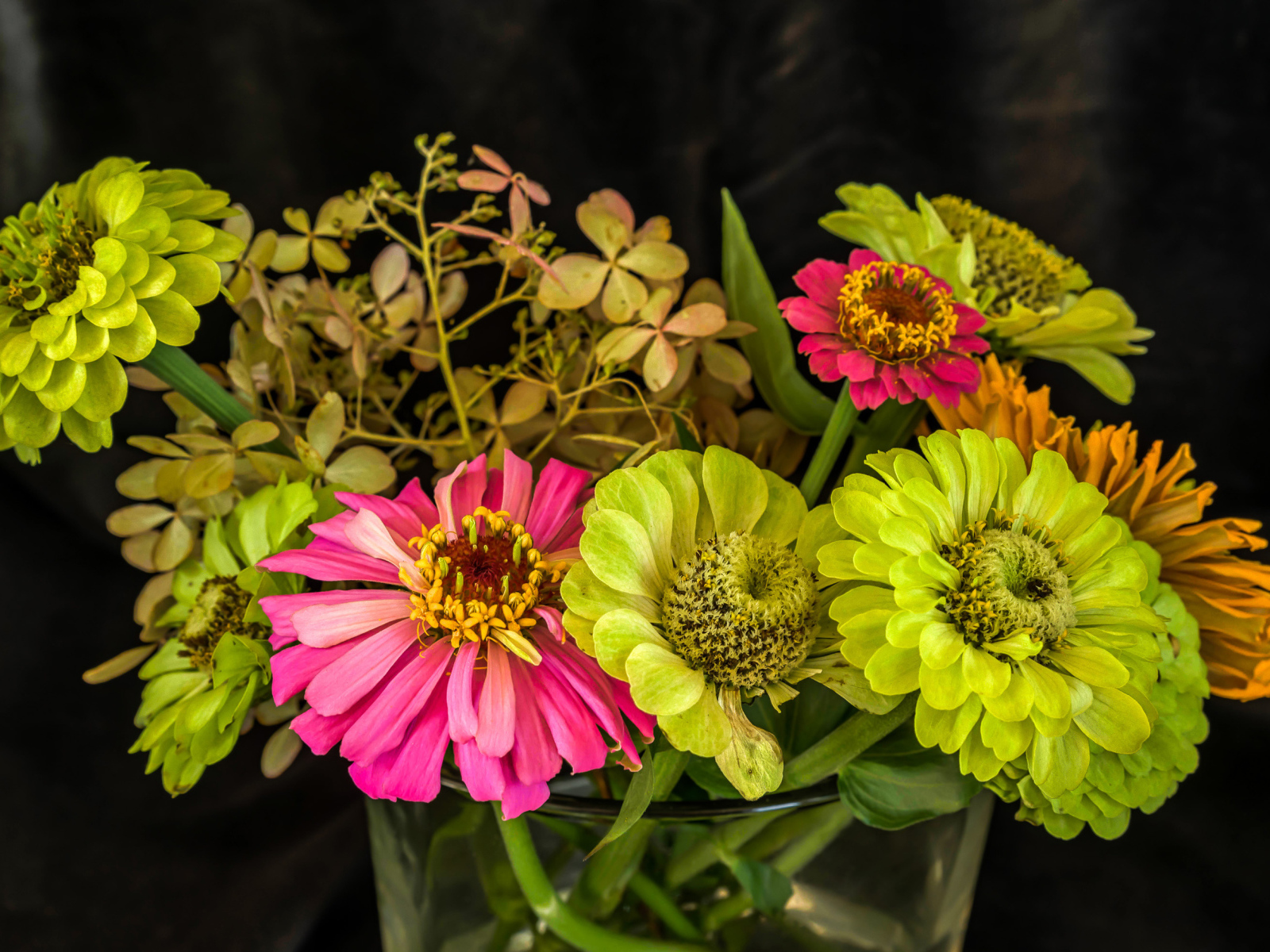 Букет разноцветных цветов цинния в вазе 