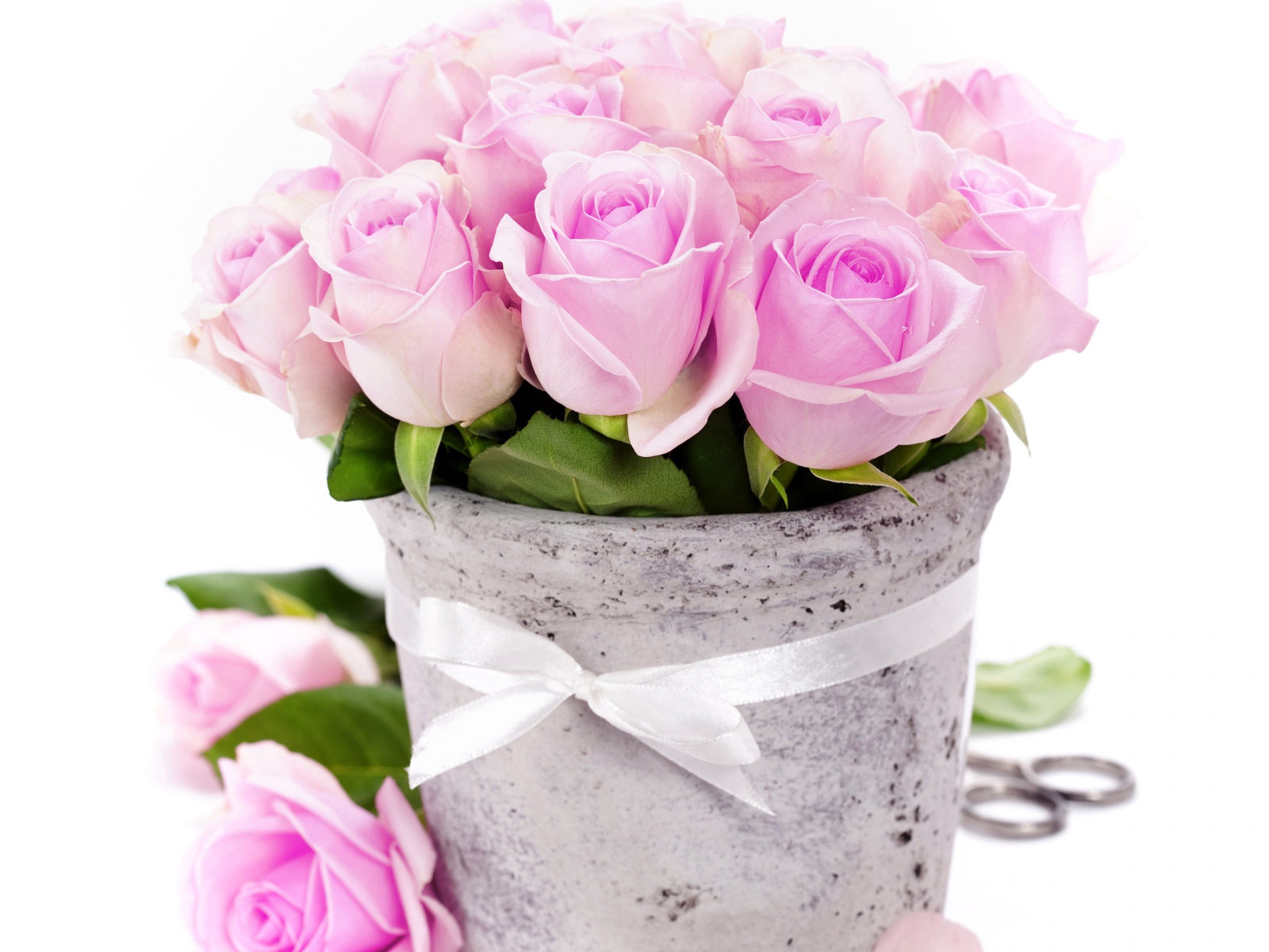 Букет розовых роз в вазе с белой лентой 