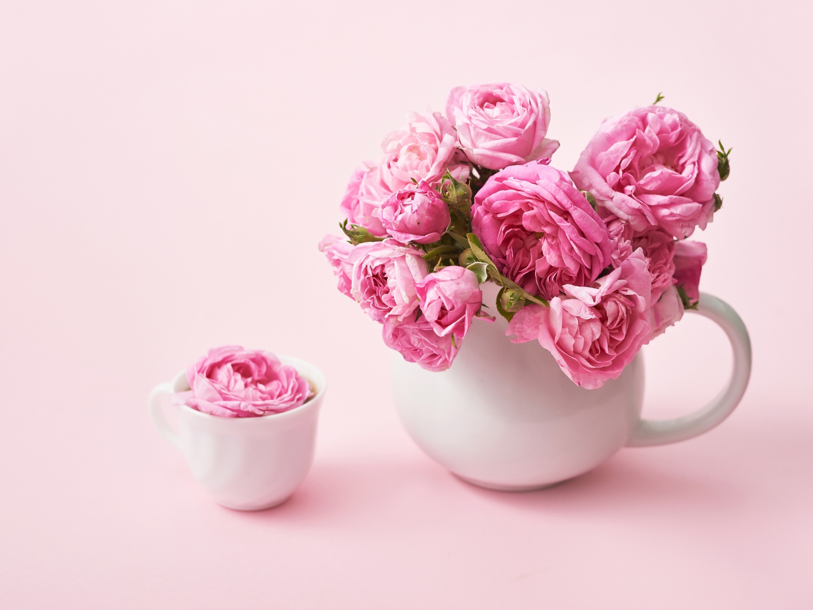 Букет розовых роз в белом кувшине на столе