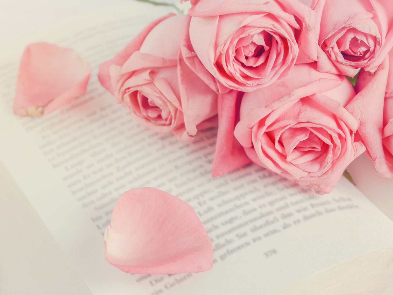 Букет розовых роз на книге