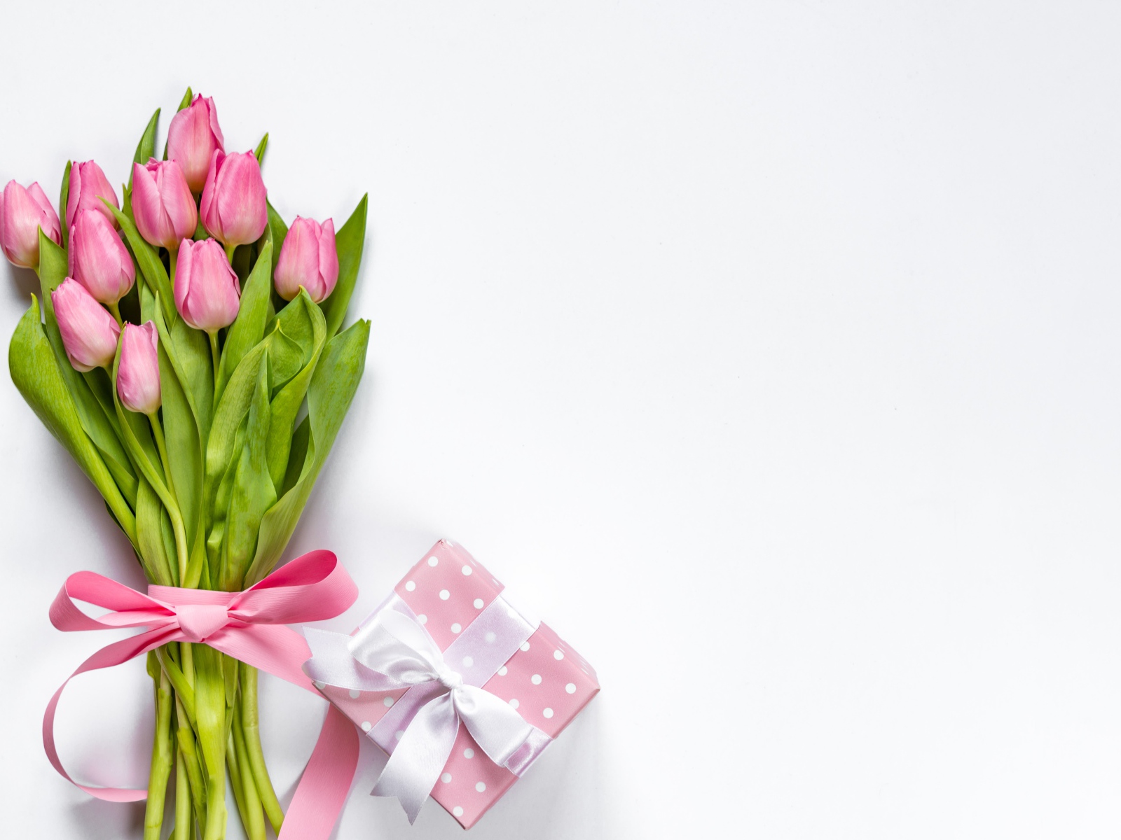 Букет розовых тюльпанов с бантом на белом фоне с подарком