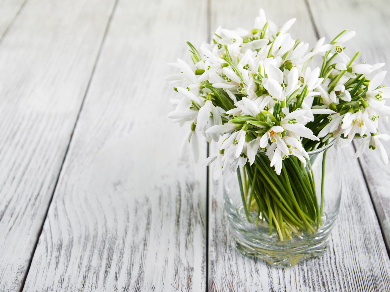 Букет белых подснежников в вазе на столе