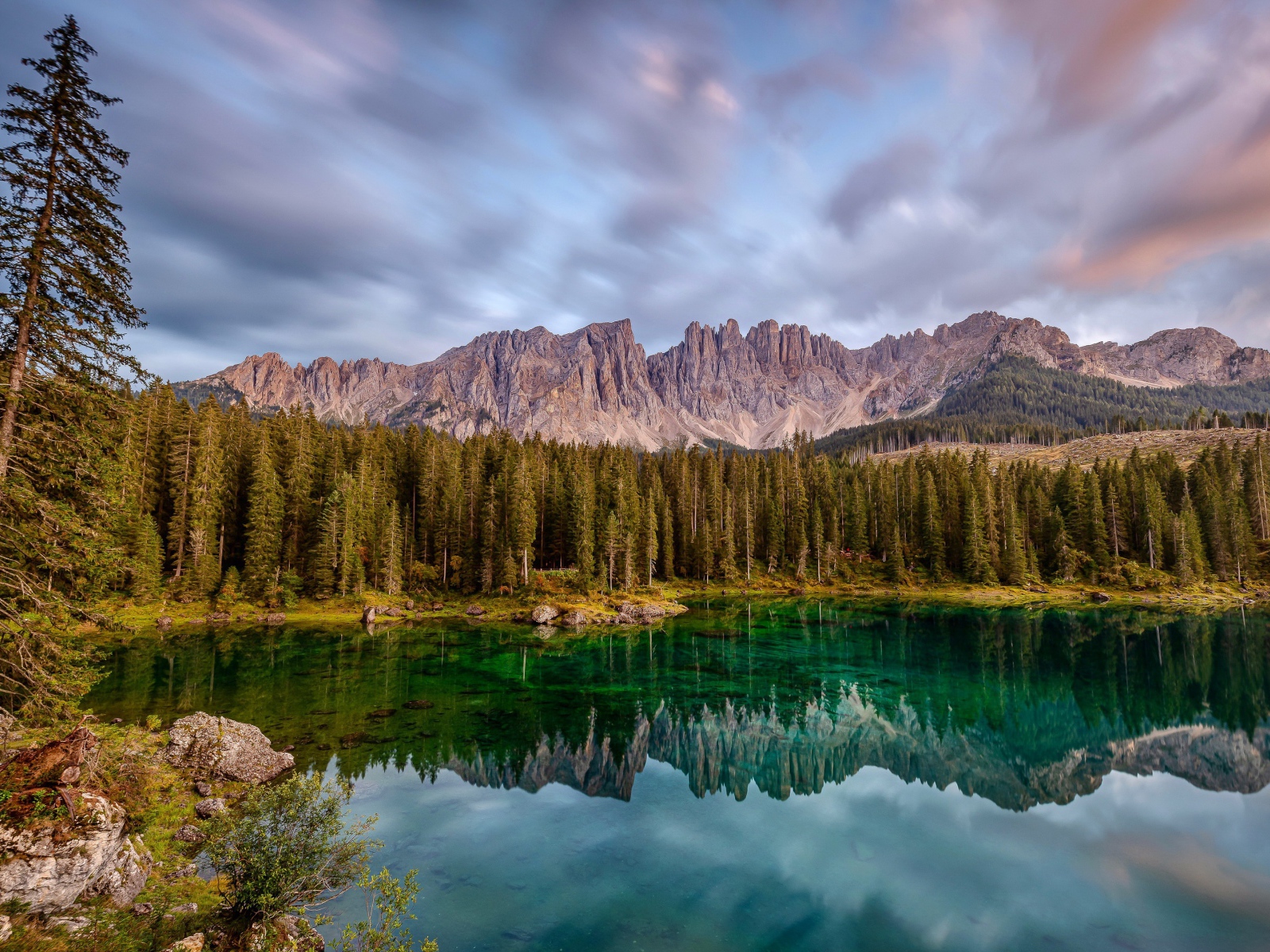 Красивый лесной пейзаж у озера 