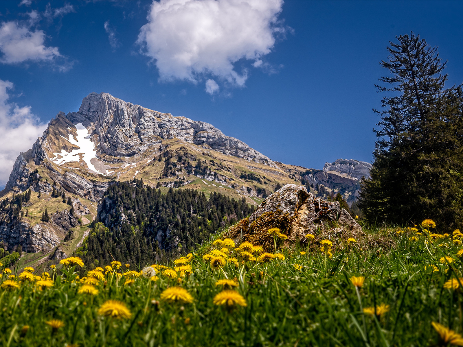 Красивая природа у подножия высокой горы под голубым небом 