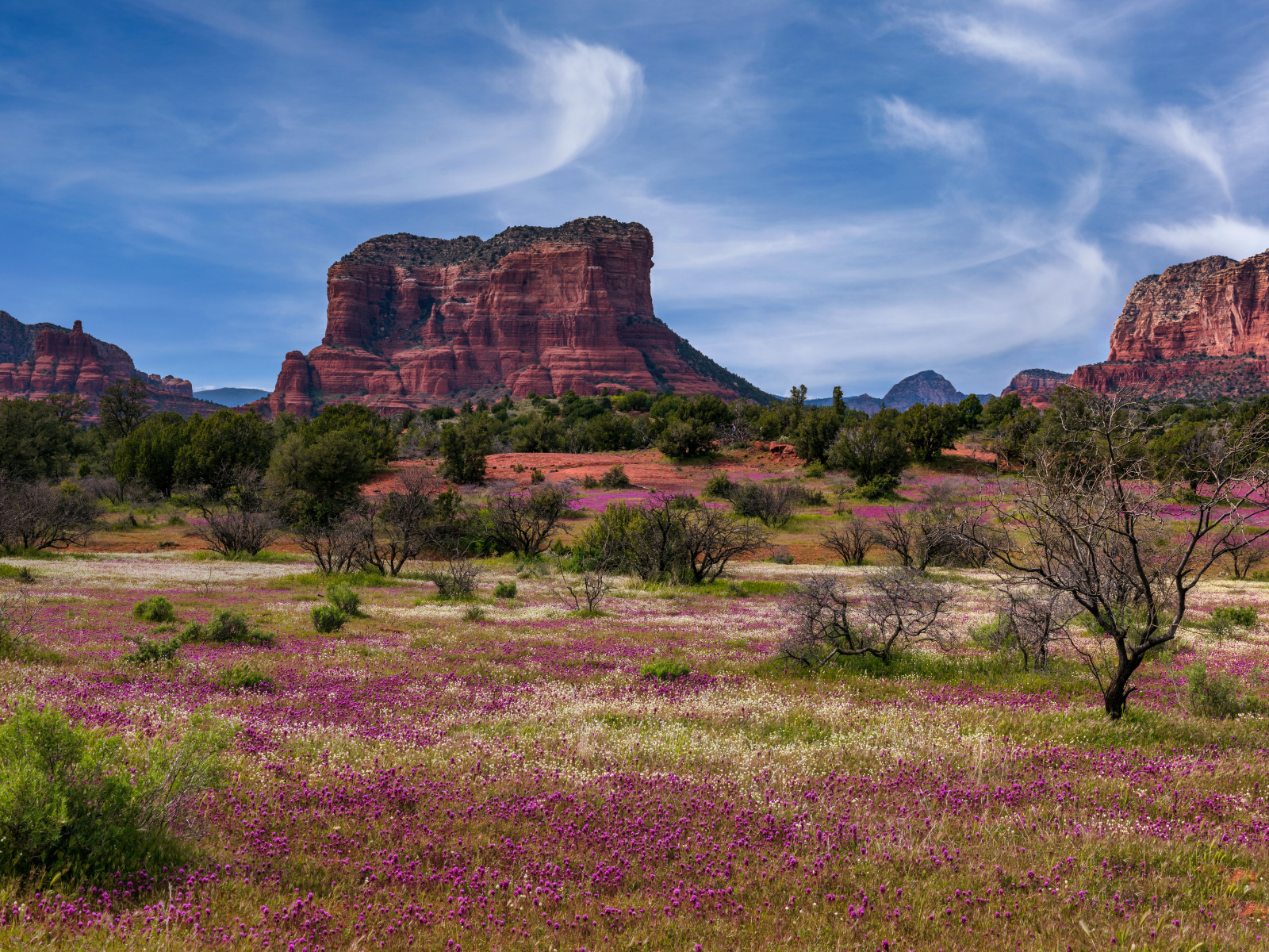 Скалистые горы под красивым голубым небом, США