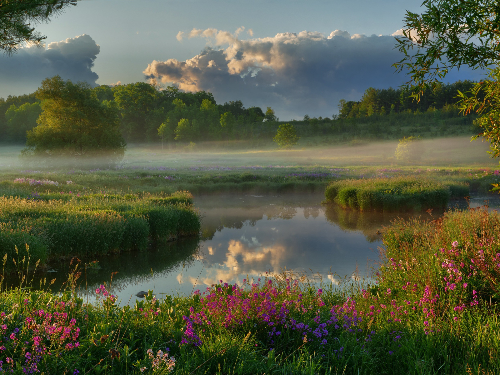 Туман над полем у реки на рассвете 