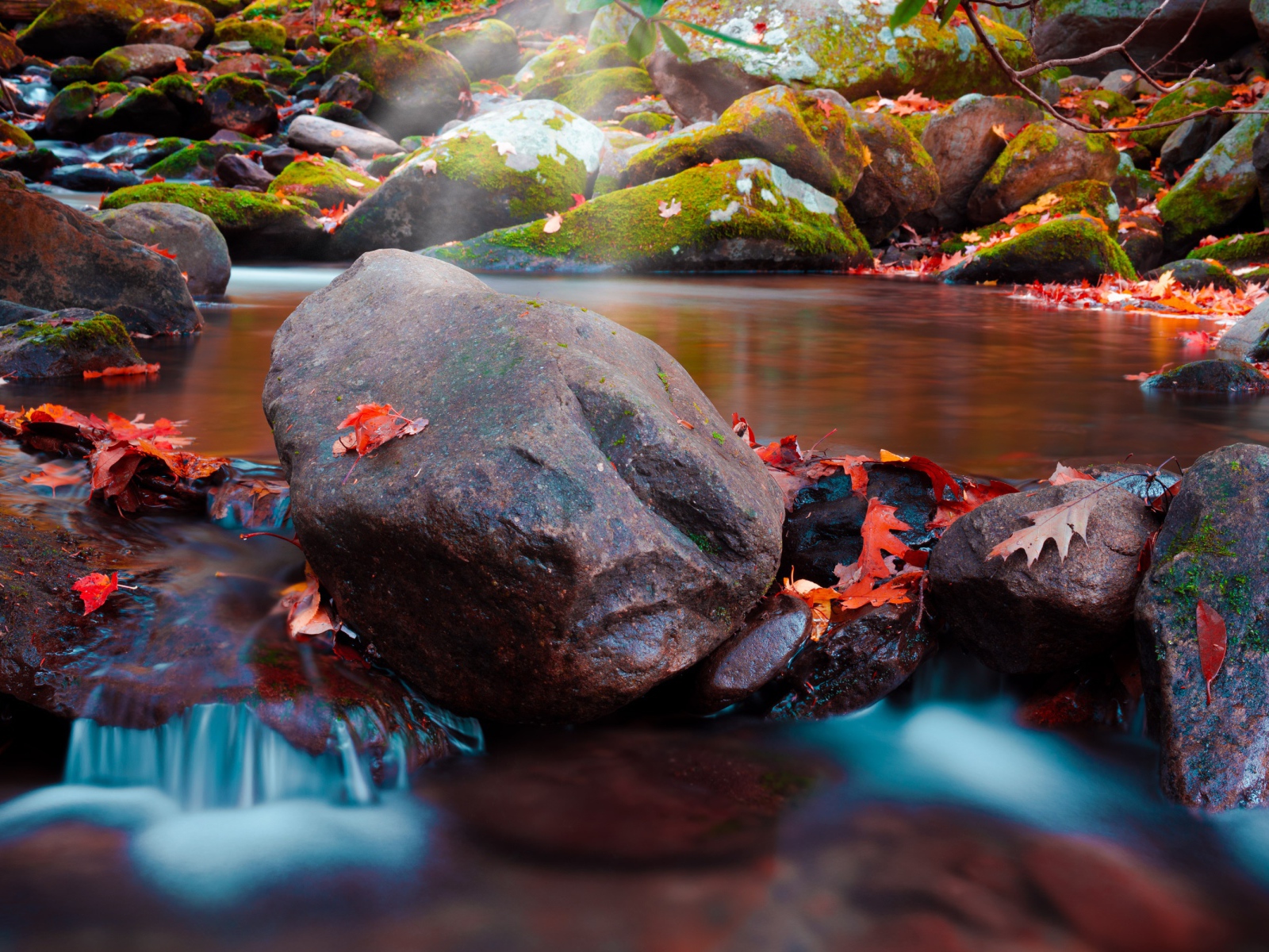 Большие мокрые камни с мхом в реке