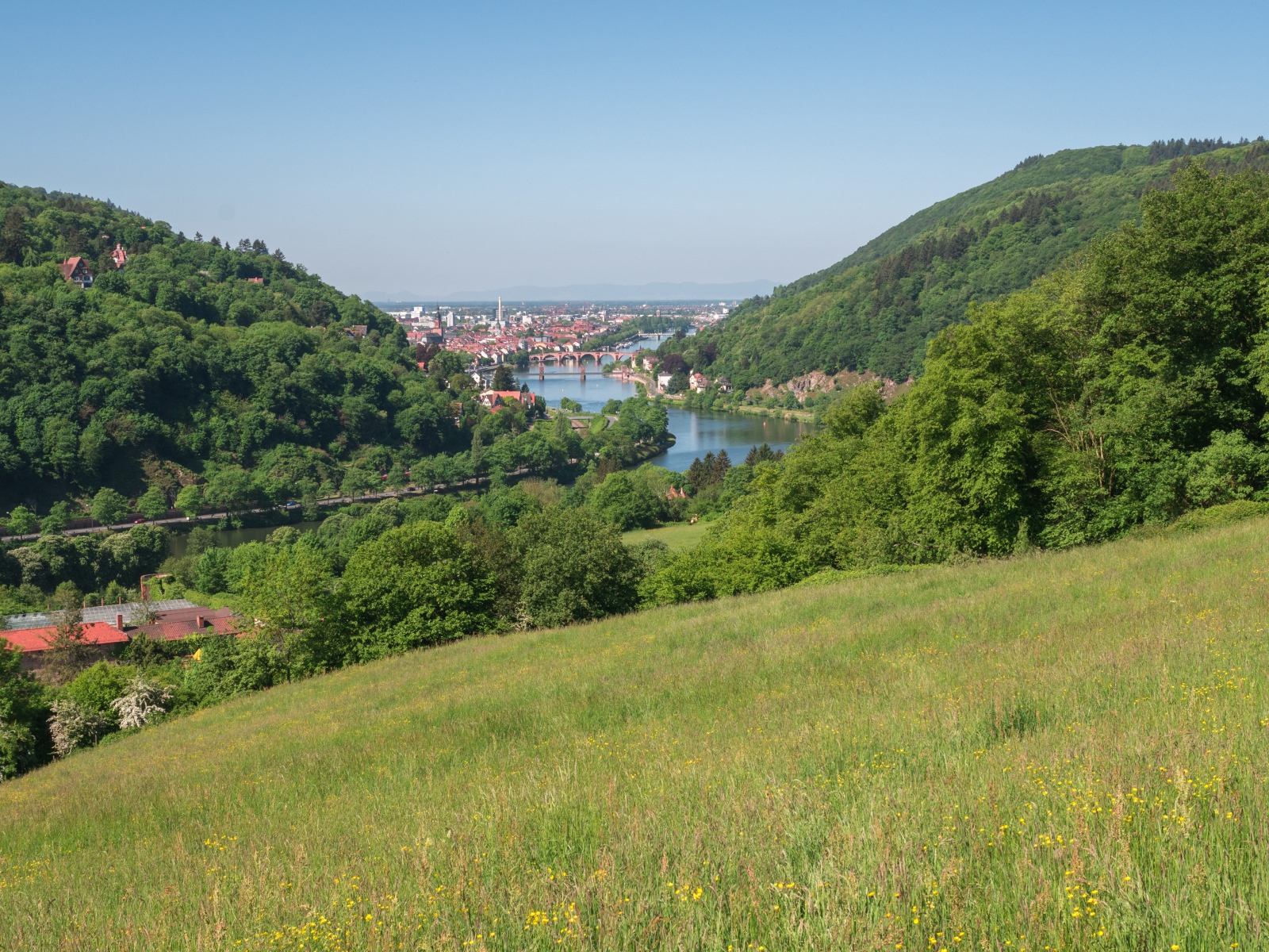 Вид с зеленого холма на реку 