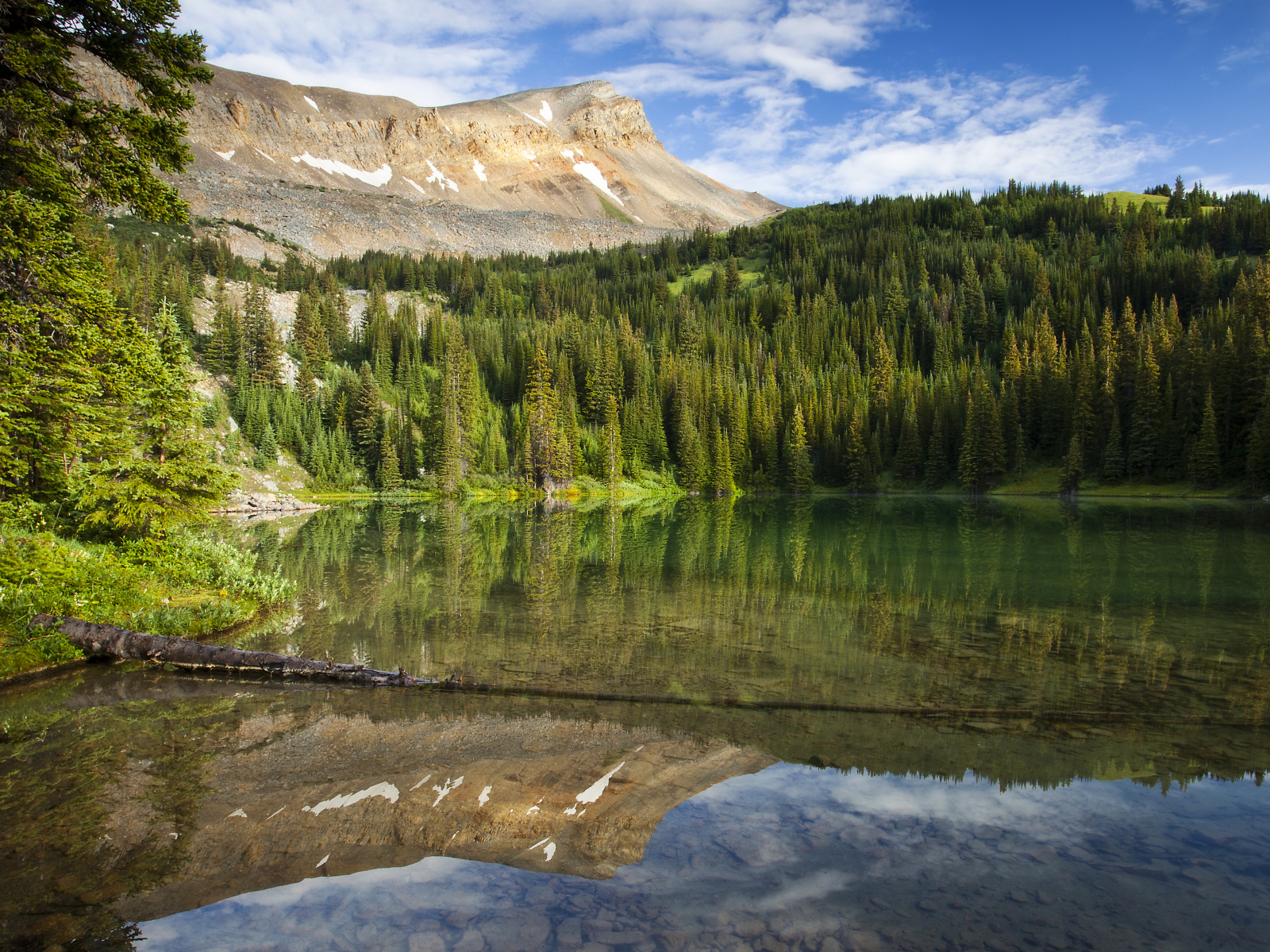 Спокойная чистая вода в озере под голубым небом у хвойного леса 