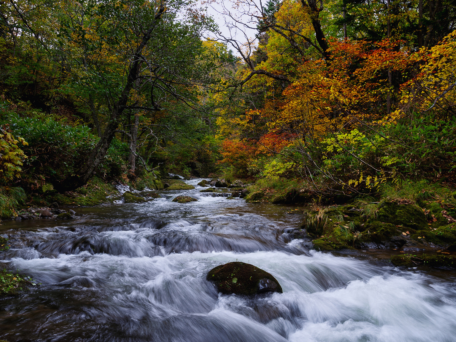 Быстрая вода в реке в лесу осенью
