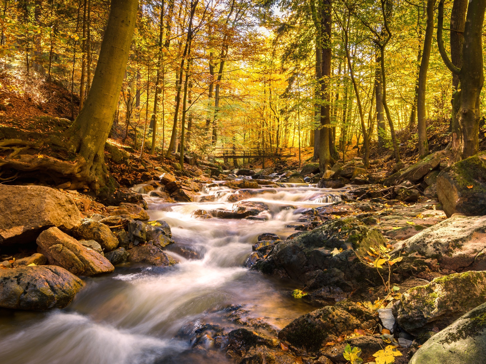 Быстрая вода ручья стекает по камням в осеннем лесу 
