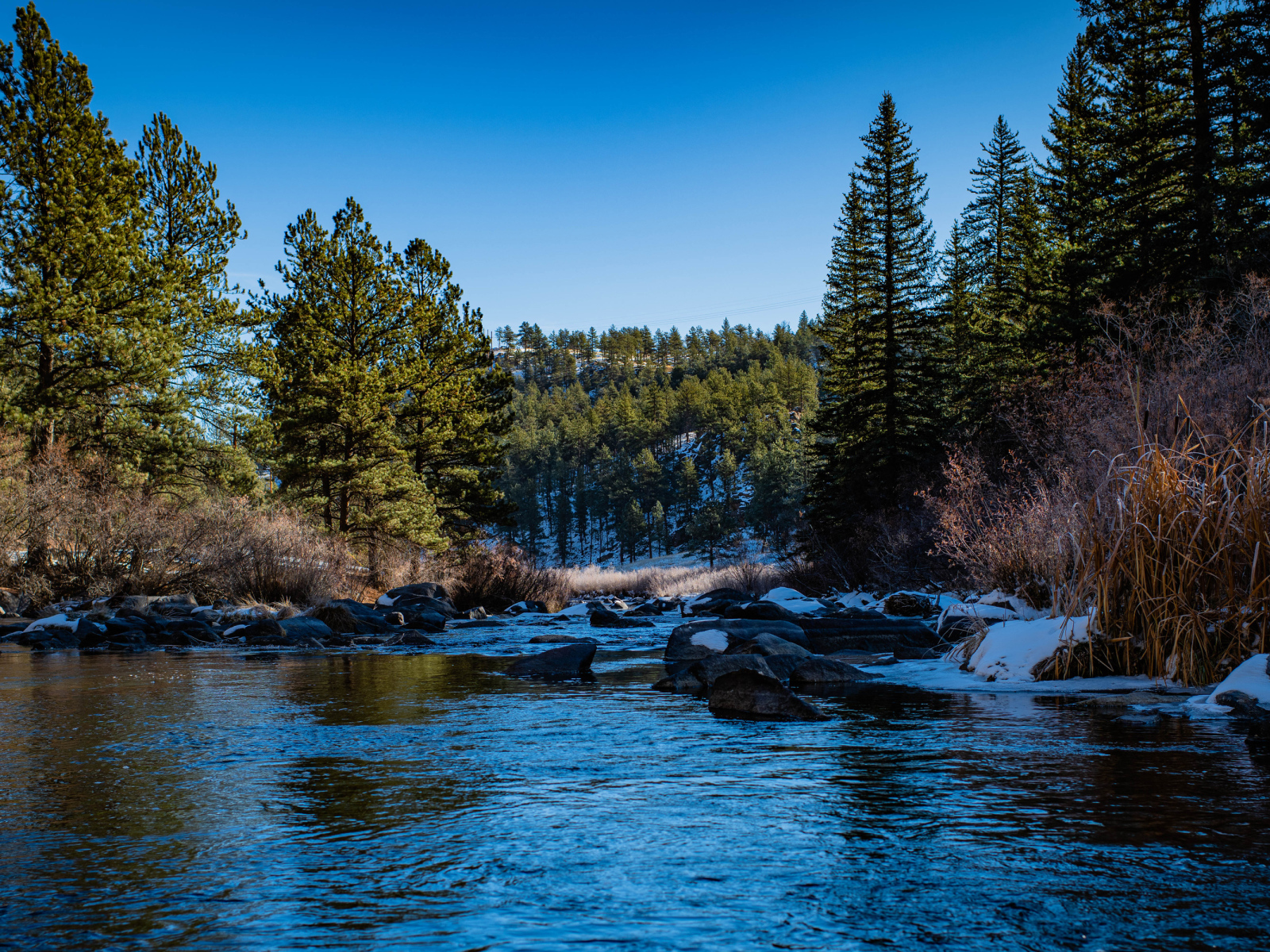 Река с заснеженными берегами в хвойном лесу