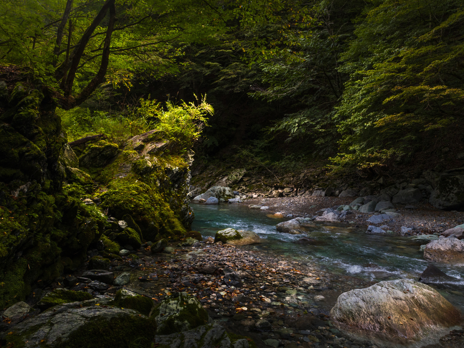 Камни лежат в холодной быстрой реке в лесу 