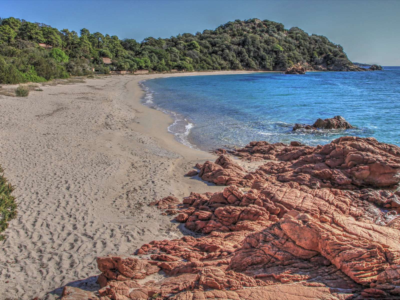 Камни на берегу моря у леса 