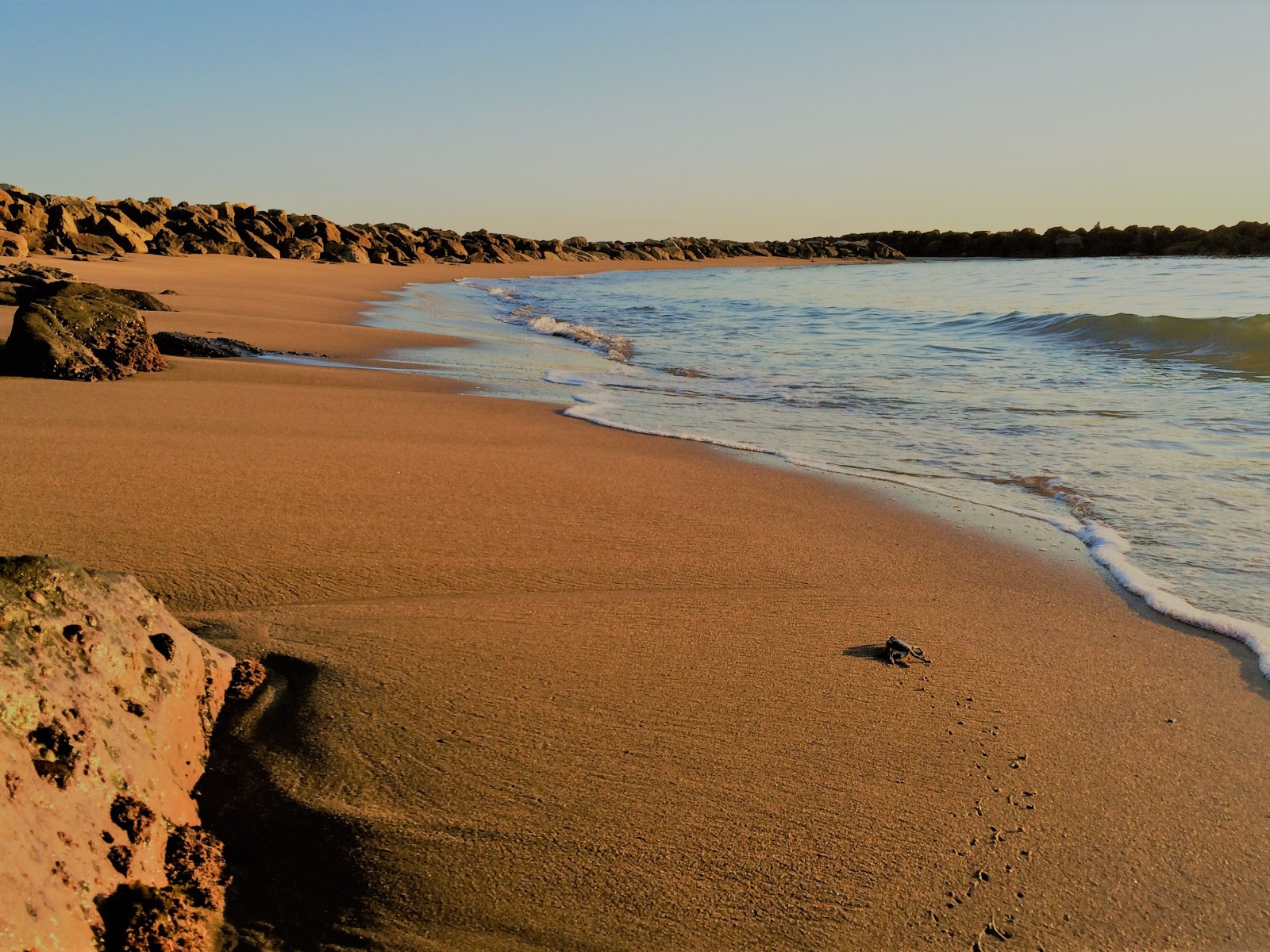 Камни на мокром песке к моря 