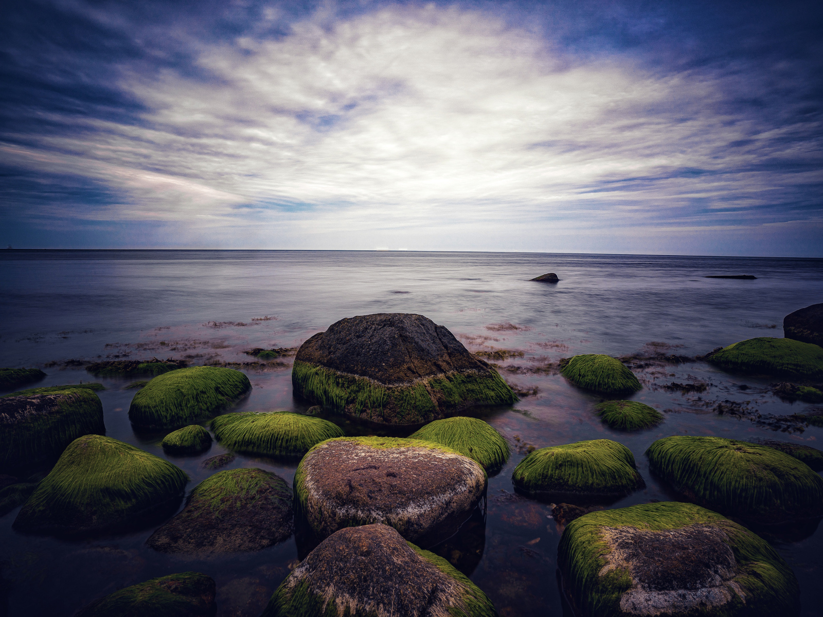 Wet green moss-covered stones in the sea